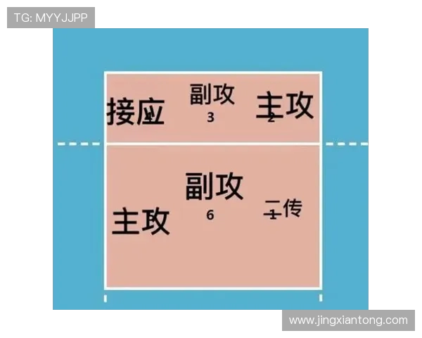 北京排球队节奏对比分析揭示战术优势与不足之处