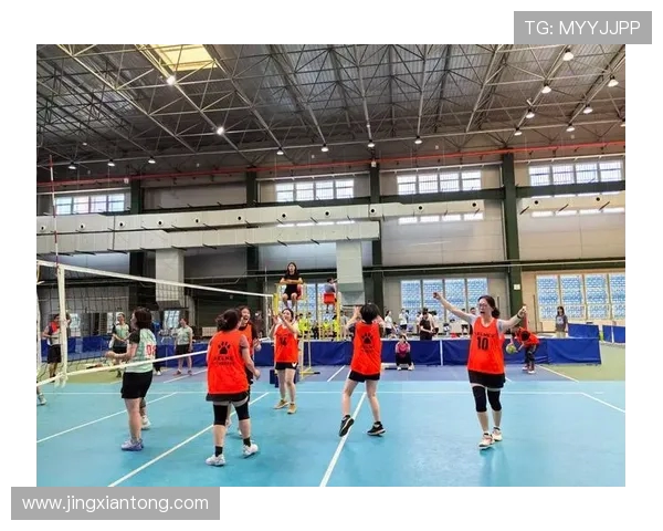 南京排球队在全国排球灵活性排行榜中荣获第四名的佳绩引发关注