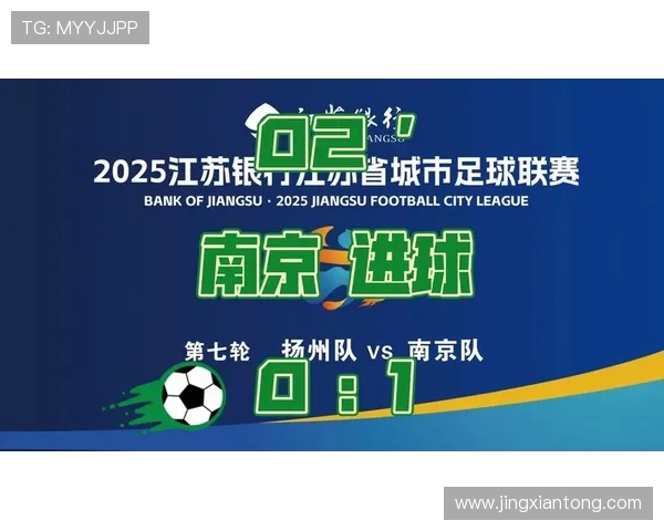 南京极限运动队状态分析与表现评估的综合研究报告