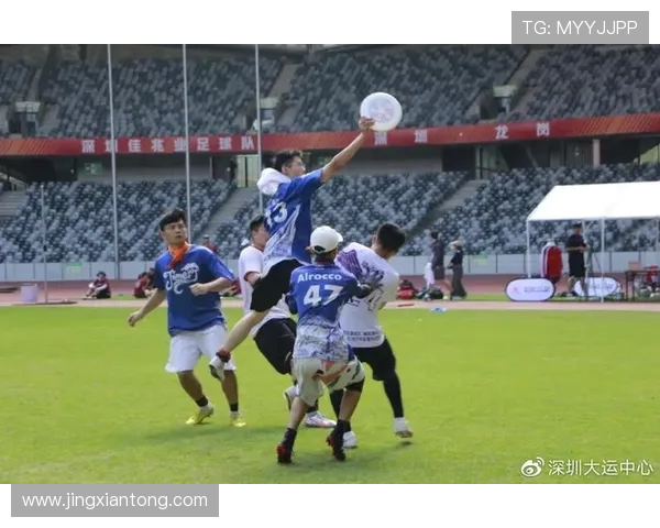 广州飞盘队区域防守战术解析与实战应用探讨