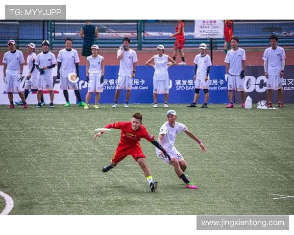 深入探讨上海飞盘队战术配合及其对比分析的独特视角