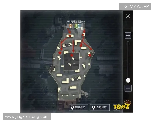 聚焦和平精英战术解析：WE战队的策略与团队协作探讨