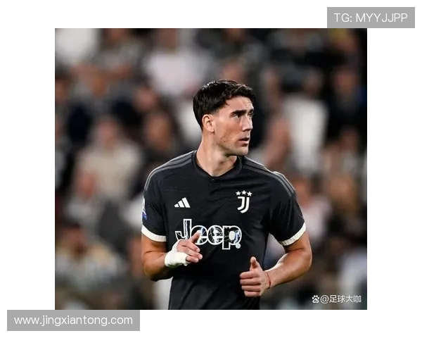 弗拉霍维奇的崛起与未来展望：从天才少年到足球巨星之路