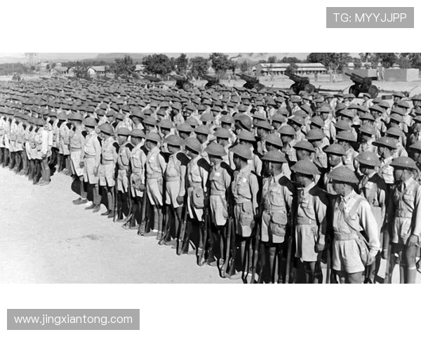 科夫队与坎伯兰联队激战正酣谁能在这场较量中脱颖而出