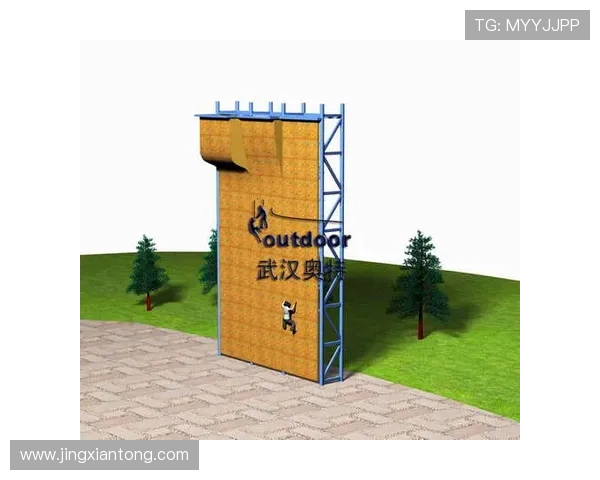 武汉攀岩队个人能力分析与表现评估的综合研究报告