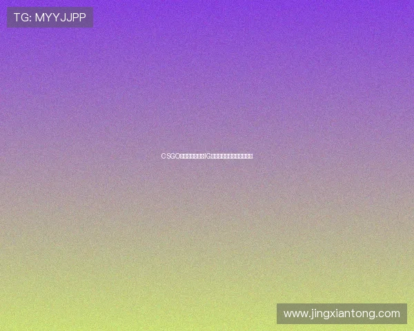 CSGO巨献：深入解析IG战队的战术与技术创新之路