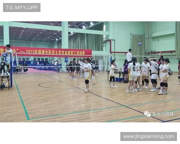 广州排球队在锦标赛中的个人能力展现与战术配合分析