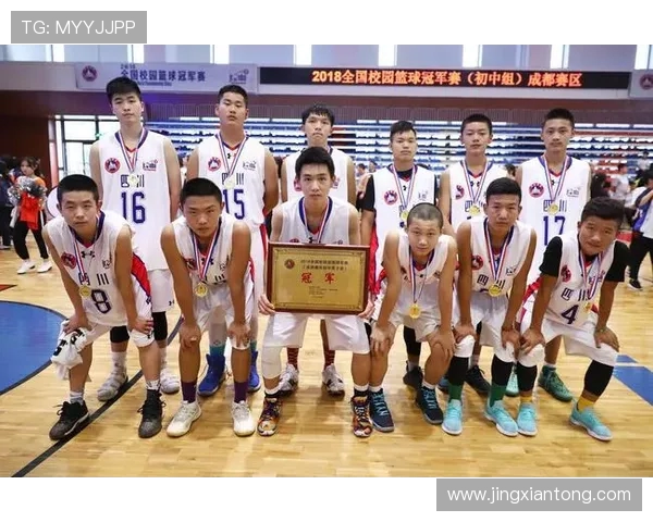 成都篮球队技术表现深度分析与数据解读探讨